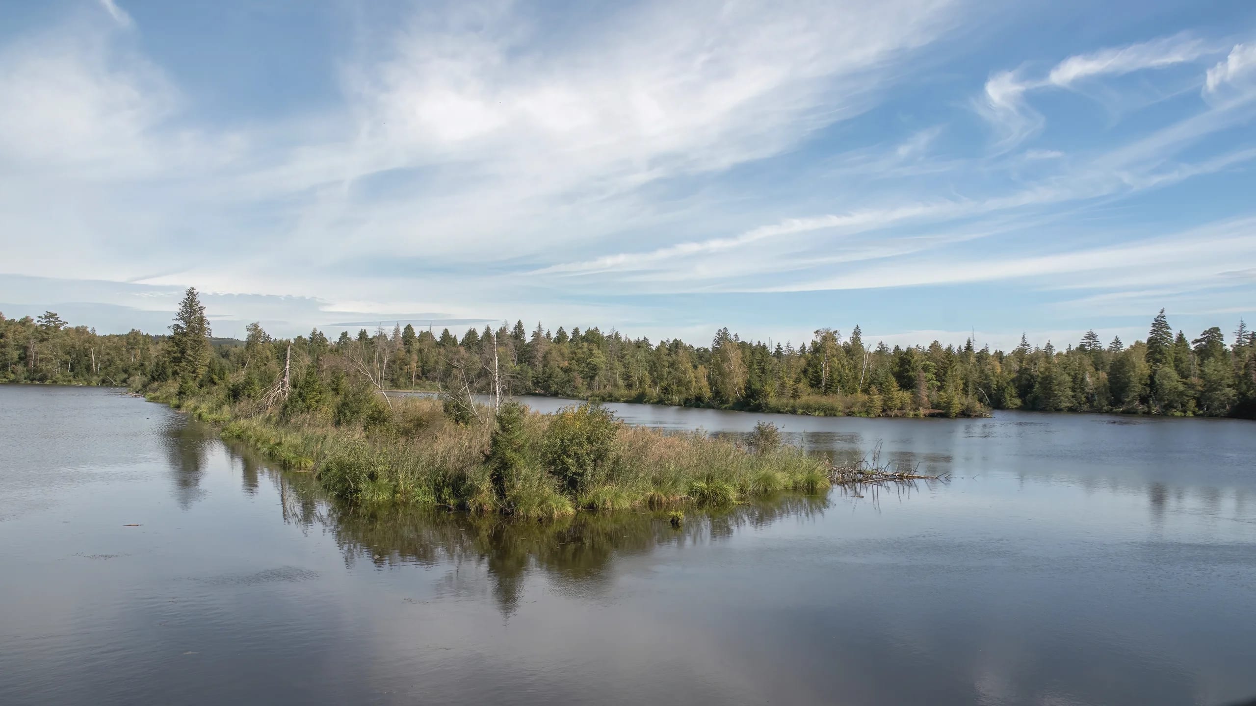 Moor Wälder Landschaft Teiche Wandern Natur Outdoor Wasser MoorlandgebietFeuchtgebiet